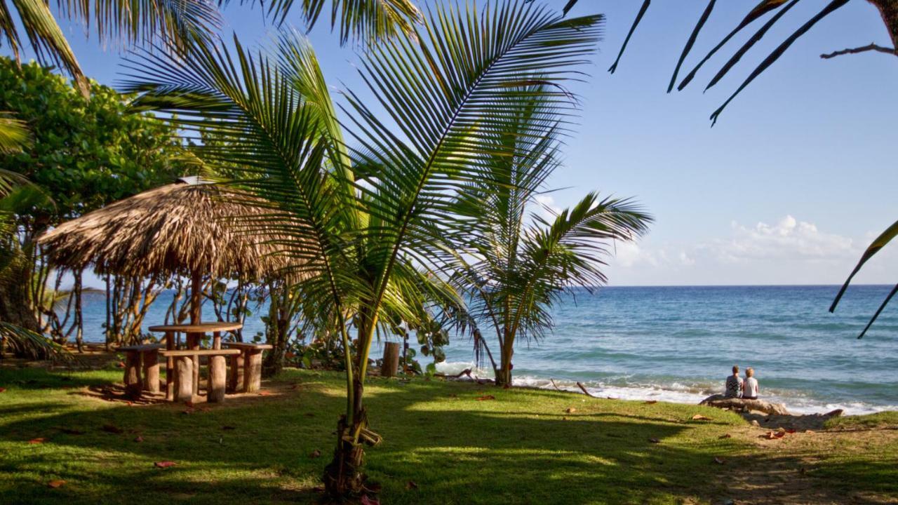 Natura Cabana Boutique Hotel & Spa By Mint Cabarete Esterno foto